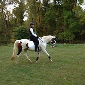 Kim Hennessy's photo