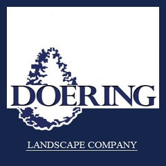 Doering Landscape