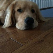 Andy Brayson's photo