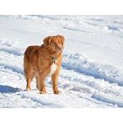Brad Aulthouse's photo