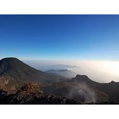 Felecia Tania's photo