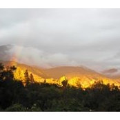 Cindy Convery's photo