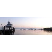 Kathleen Brack's photo