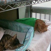 Akiko Mise's photo