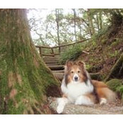 Foto von Ku Ashikaga