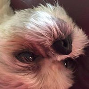 Robin Rose's photo