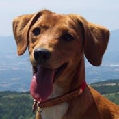 Fabio Agnolucci's photo