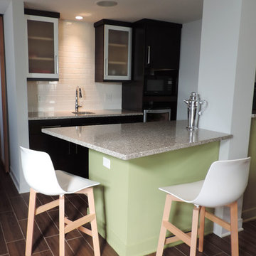 Modern Basement in Andersonville