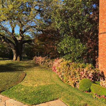 Fort Worth Estate Garden