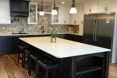 Kitchen - transitional kitchen idea in Minneapolis