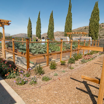 Vegetable Paradise
