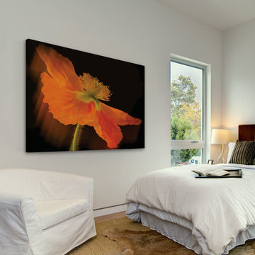 Dramatic Orange Poppy