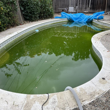 Optimum Pool and Spa LLC 3