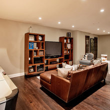 Basement Designs