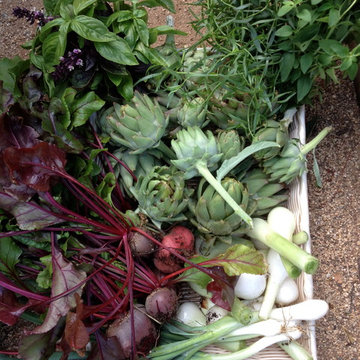Brentwood Edible Garden