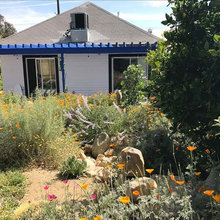 Garden Rehab 2018