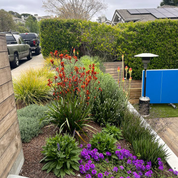 Curb Appeal and Front Yards