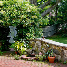 Landscape Ideas