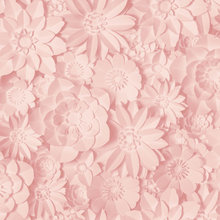Dolly Theme