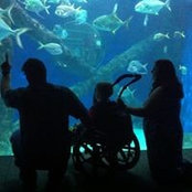 Denell N Chris Wallace's photo