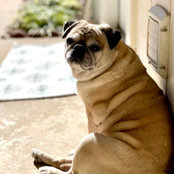 Nicole Rooks's photo