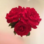 Sharon Lopez's photo