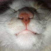 David Stoudt's photo