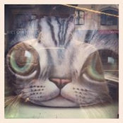 Michael Corridore's photo