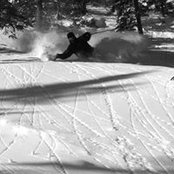 Philippe Warren's photo