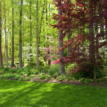New Landscaping