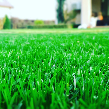 2020 Lawn Care