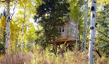 Swaying From Sleepovers to Dinner Parties in a Colorado Tree House