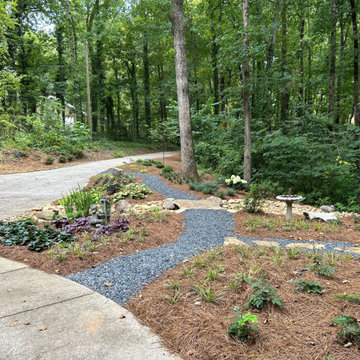 Woodland Shade Garden