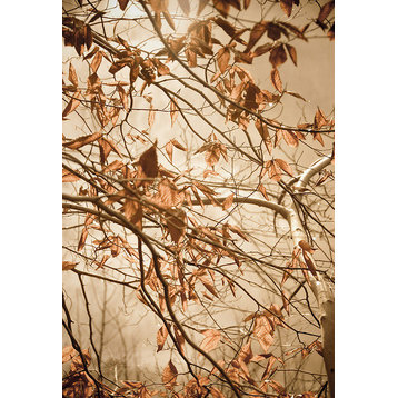Nature Wall Decor: Aged Winter Leaves Botanical  Photo Unframed Print, 24" X 36"
