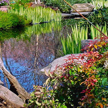 Just pools and water features!!