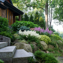 Landscape Ideas