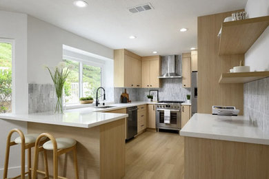 Trendy kitchen photo in Orange County