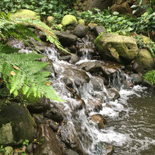 3636/3654 Water Features