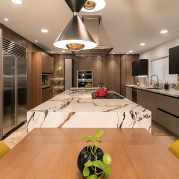 Irresistible Wood Panel Contemporary Kitchen