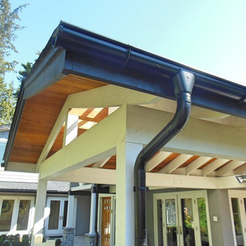 Downpipes and Rain Chains