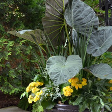 Planters
