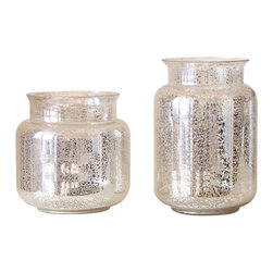 Punggol Woodcress - Vases