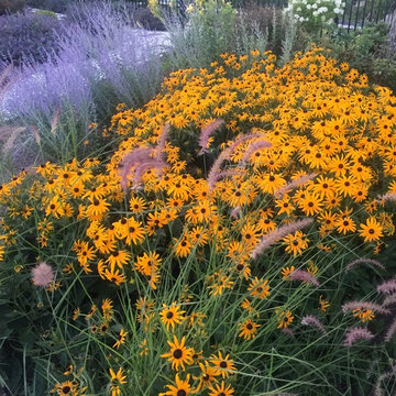 Seaside garden in Rhode Island