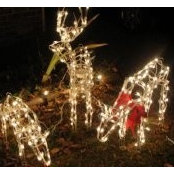 Diana Nicholson's photo