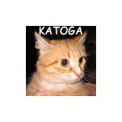 Любовь Кузнецова's photo