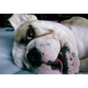 Renea Dale's photo