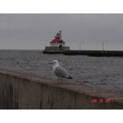Jennifer Bickler's photo
