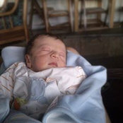 Molham Alabdollah's photo