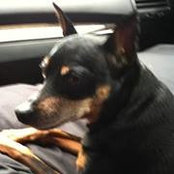 Dustin Guzman's photo