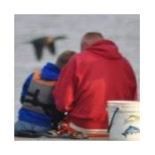 Ed Lester's photo